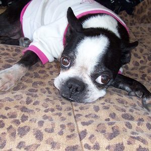 Meet your Posher, Sue